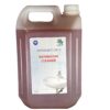 Domesky CR-1 Concentrate Bathroom Cleaner | 5 Litre